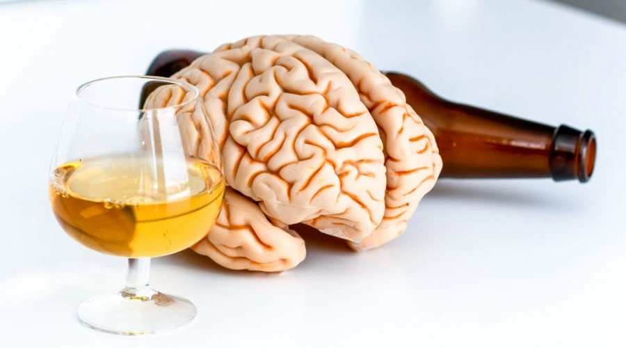 Brain Recovery From Alcohol Timeline - South Shores