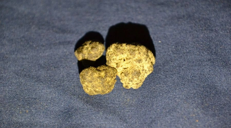 Three Moon Rocks that have much higher THC content than cannabis flower