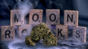 What Is Moon Rock Weed