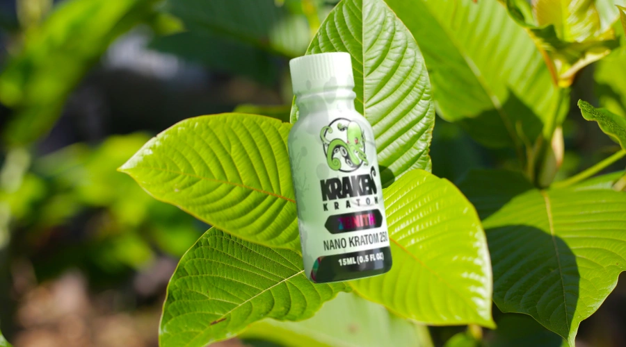 Image of a bottle of Kraken Kratom superimposed on a kratom plant - What Is Kraken Kratom And Is It Addictive - South Shores Detox